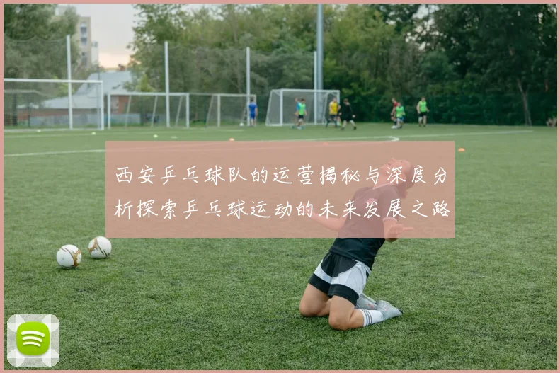 西安乒乓球队的运营揭秘与深度分析探索乒乓球运动的未来发展之路