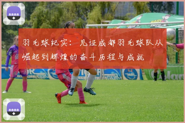 羽毛球纪实：见证成都羽毛球队从崛起到辉煌的奋斗历程与成就